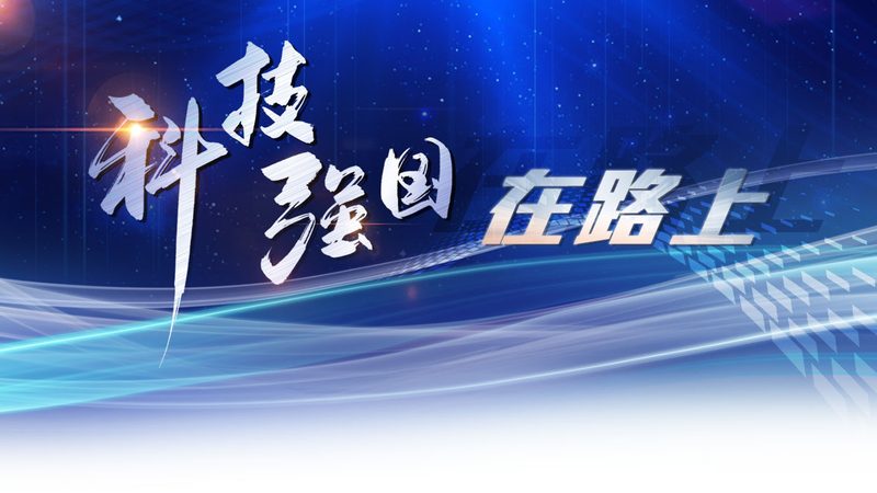 揭秘人工智能应用工具：品牌对比与选型策略