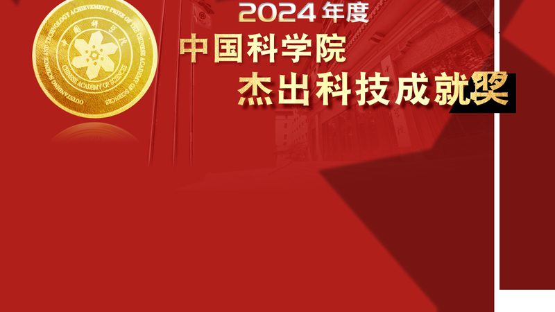 企业内部信息化项目管理流程：关键环节与优化策略